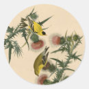 Recherche de audubon autocollants John