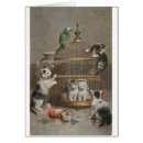 Zoek naar vogelkooi kaarten Papegaai