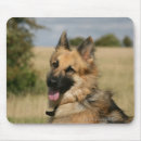 Recherche de deutscher tapis souris Headshot