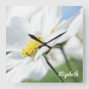 Recherche de marguerite blanche horloges Marguerites