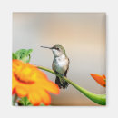 Recherche de faune et flore magnets Animal