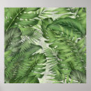 Recherche de arbre tropical posters Motif