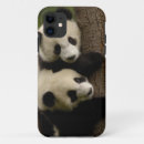 Recherche de panda géant iphone coques Faune