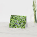 Recherche de macro vœux cartes Violet