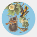 Recherche de audubon autocollants Oiseaux