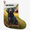 Recherche de labradors chaussette de noël Chiens