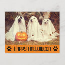 Recherche de humour de costume cartes postales Dog