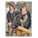 Recherche de german shepherd Animals
