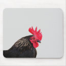 Recherche de élevage tapis souris Coq