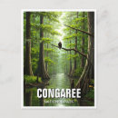 Recherche de marécage cartes postales Travel