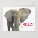 Recherche de animaux safari cartes postales Afrique