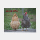 Recherche de poules terrasses jardins Animaux