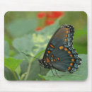 Recherche de dessin papillon tapis souris Animal