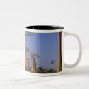 Recherche de baobab tasses Nature