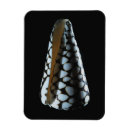 Recherche de objet simple magnets Tir de studio
