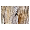 Zoek naar merrie kunst Equine