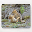 Recherche de amérique tapis souris Animal