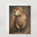 Zoek naar capybara briefkaarten Vintage