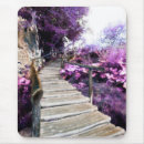 Recherche de escalier tapis souris Photographie