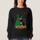 Zoek naar briard honden posters Kerstmis