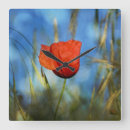Recherche de coquelicot horloges Pavot