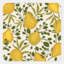 Recherche de poires jaunes autocollants Illustration