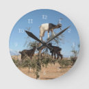 Recherche de chèvre horloges Drôle