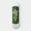 Zoek naar staart skateboards Schattig