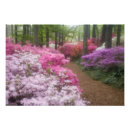 Recherche de callaway posters Jardins de callaway