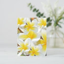 Zoek naar frangipani briefkaarten Geel
