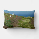 Recherche de mouettes coussins Californie