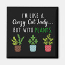 Recherche de plante de chat magnets Jardin