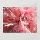 Recherche de pretty cartes postales Floral
