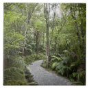 Recherche de piétons carreaux Jour