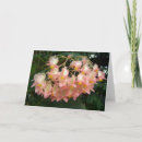 Recherche de macro vœux cartes Plante