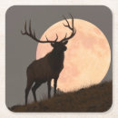 Recherche de hausse de lune Ciel