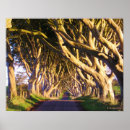 Recherche de haie posters Paysage