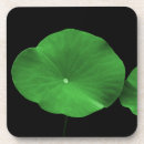 Recherche de lotus dessous de verres Botanique