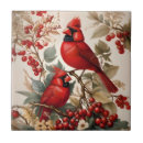 Recherche de oiseau rouge carreaux Cardinal du nord