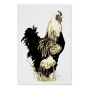 Recherche de oiseau noir et blanc posters Animal