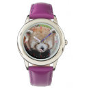 Zoek naar rode panda accessoires Fotografie