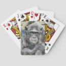 Recherche de chimpanzé jeux de cartes Animal