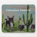 Recherche de chiwawa tapis souris Amour