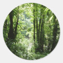 Zoek naar tropisch regenwoud stickers Groen