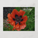Recherche de macro photo cartes postales Jardin