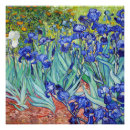 Recherche de iris van gogh posters Artiste