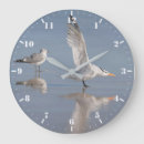 Recherche de mouettes horloges Oiseaux de mer