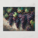 Recherche de raisins vigne cartes postales Vignoble