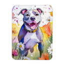 Recherche de pitié magnets Animal