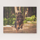 Recherche de german shepherd puzzles Pour tous